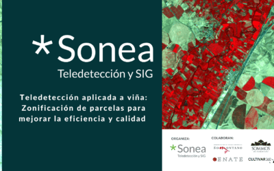 Teledetección para vendimias más precisas: la experiencia de SONEA en Sommos y Enate